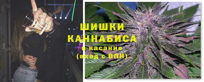 Канабис Amnesia  где продают   Гвардейск 